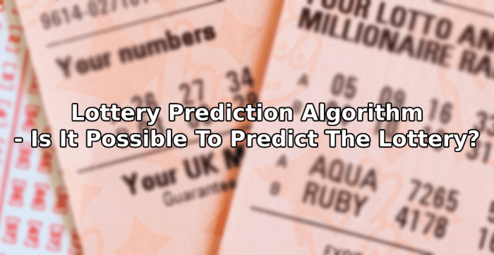 Nyholisticvet - My WordPress Blog